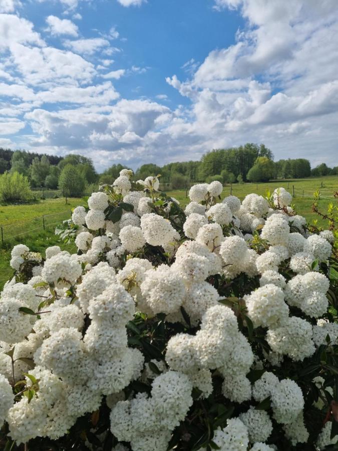 Woodhouse Spreewiesen Burig ภายนอก รูปภาพ